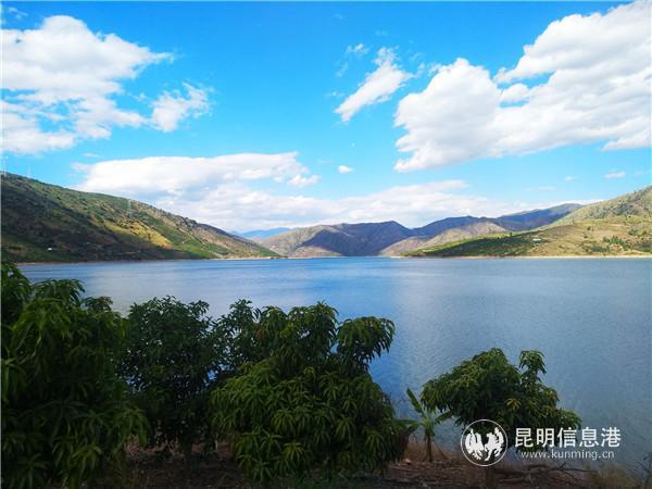 临江村段的金沙江，水清景美。记者江枫摄