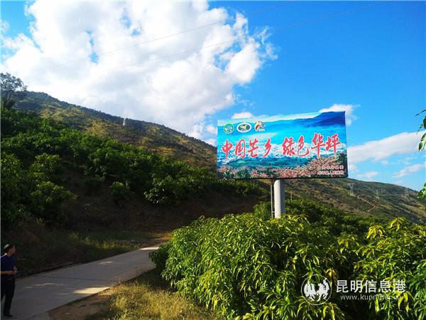 “中国芒乡 绿色华坪”已经成为响亮的宣传语。记者江枫摄